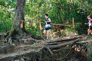 BIB: 
                            <button type="button" onclick="openModal(27549150)" class="btn btn-primary btn-sm float-right btn-popup" data-toggle="modal" data-target=".modal-high-quality">
                        <i class="fas fa-shopping-cart"></i> Add to Cart
                    </button>
                                            <button type="button" onclick="isThisMe(27549150, true)" class="btn btn-success btn-sm float-right btn-popup btn-isme hidden" data-toggle="tooltip" data-placement="bottom" title="นี่คือรูปของคุณใช่ไหม คลิกที่นี่เพื่อเอาเข้าอัลบั้ม">
                        <i class="fas fa-plus"></i> Add to album
                    </button>
                    <button type="button" onclick="isThisMe(27549150, false)" class="btn btn-warning btn-sm float-right btn-popup btn-isnotme hidden">
                        <i class="fas fa-ban"></i> Remove from album
                    </button>